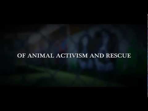 "Give Me Shelter" Theatrical Trailer - Produced by Katie Cleary