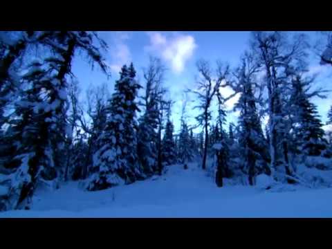 Ice Cold Killers - Season 3 showing in August