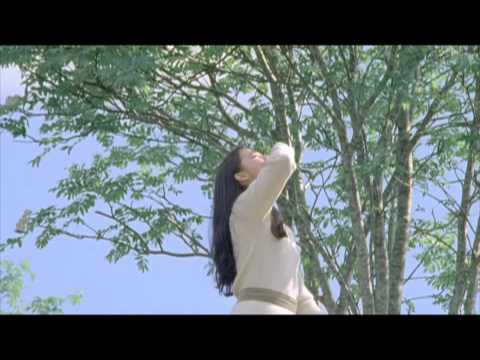 映画『たまたま』予告編