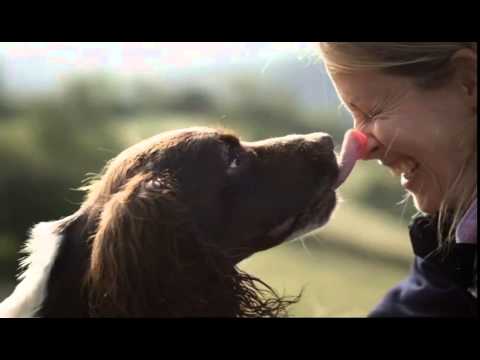 Secret Life of Dogs: promo