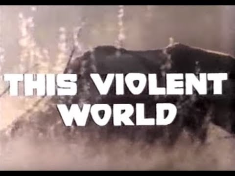 This Violent World (1976) - Trailer [edited]