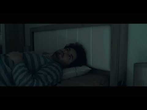 6 Months of November (Trailer)