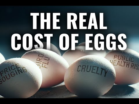 The Real Cost of Eggs: The World's Largest Egg Investigation