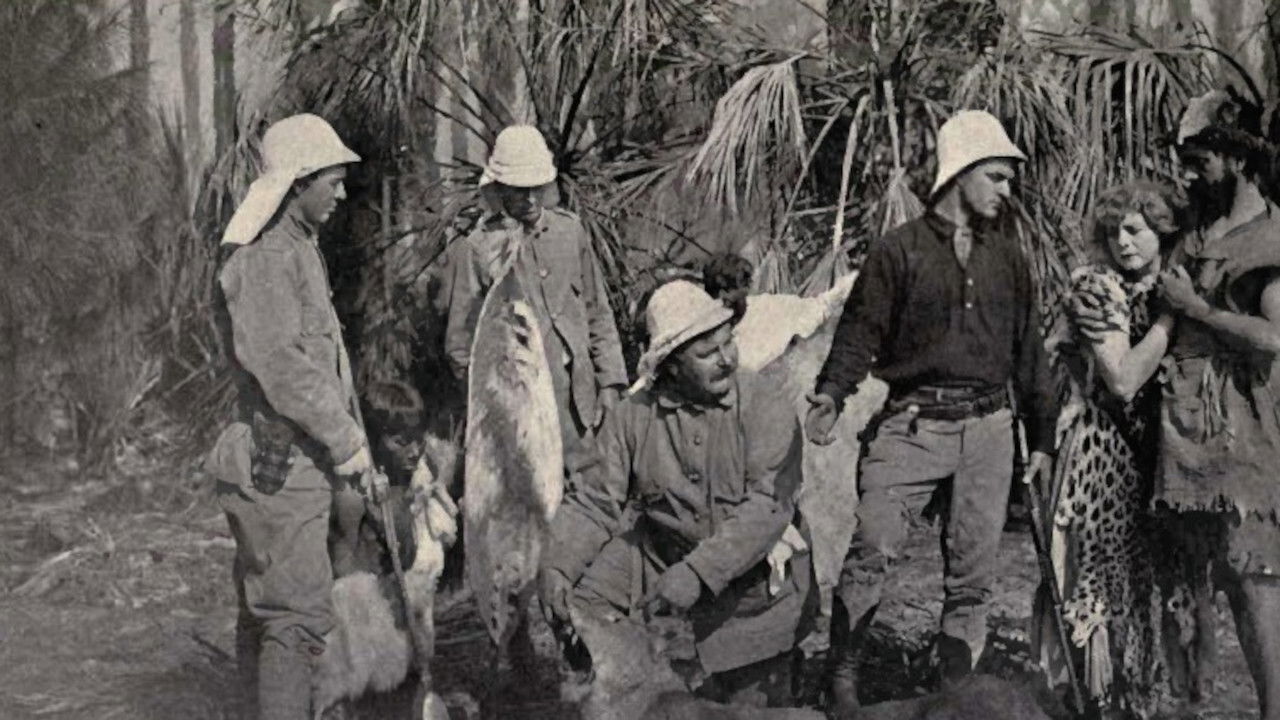 Backdrop for Back to the Primitive