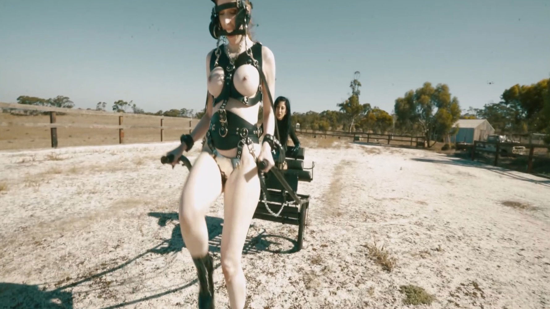 Backdrop for The Pony 2