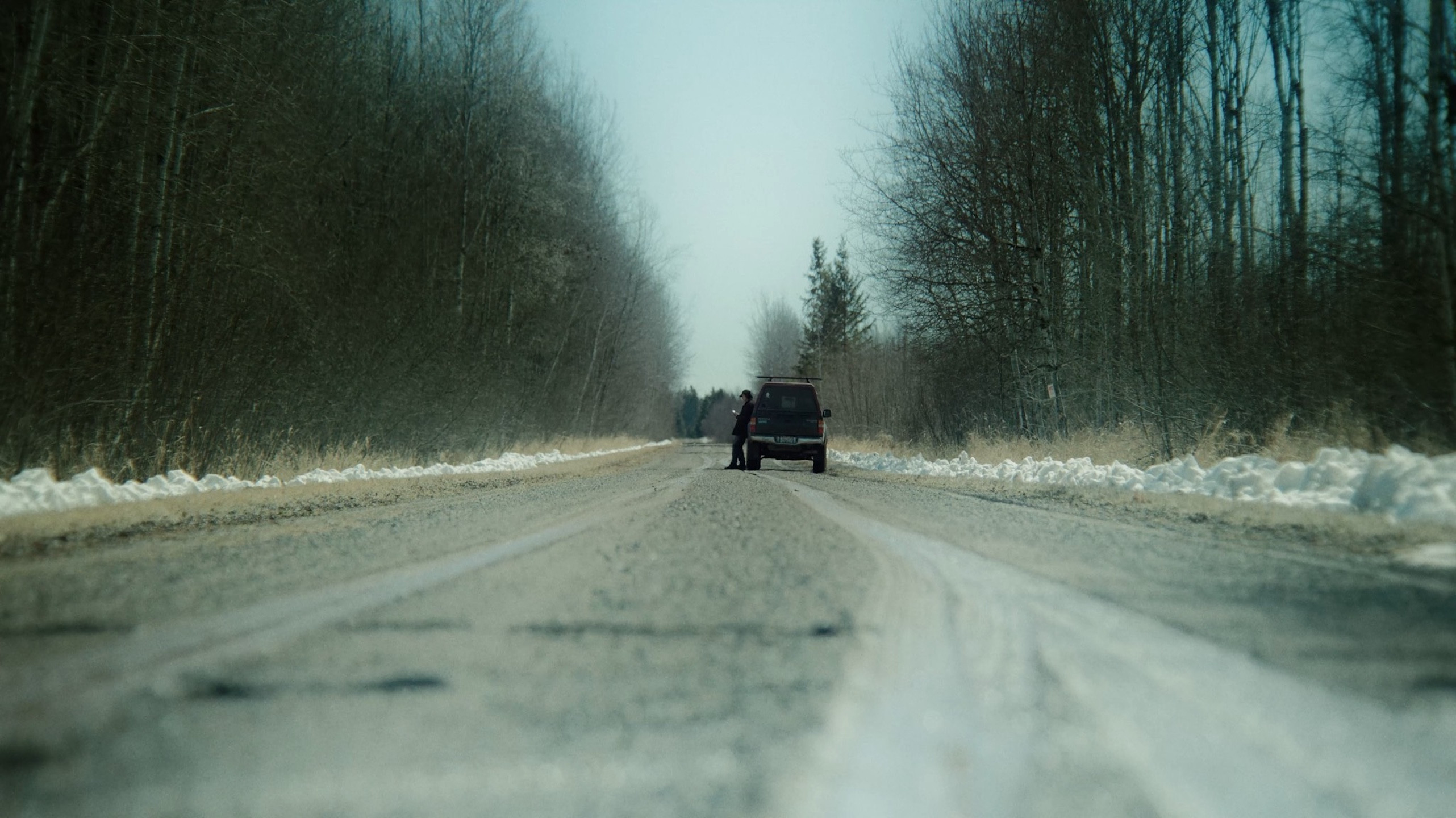 Backdrop for Creature Fear