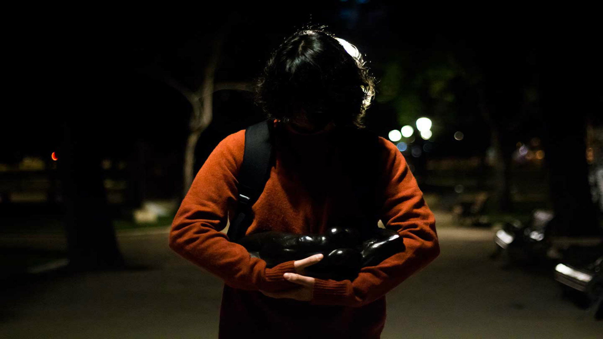 Backdrop for Stealing Rodin