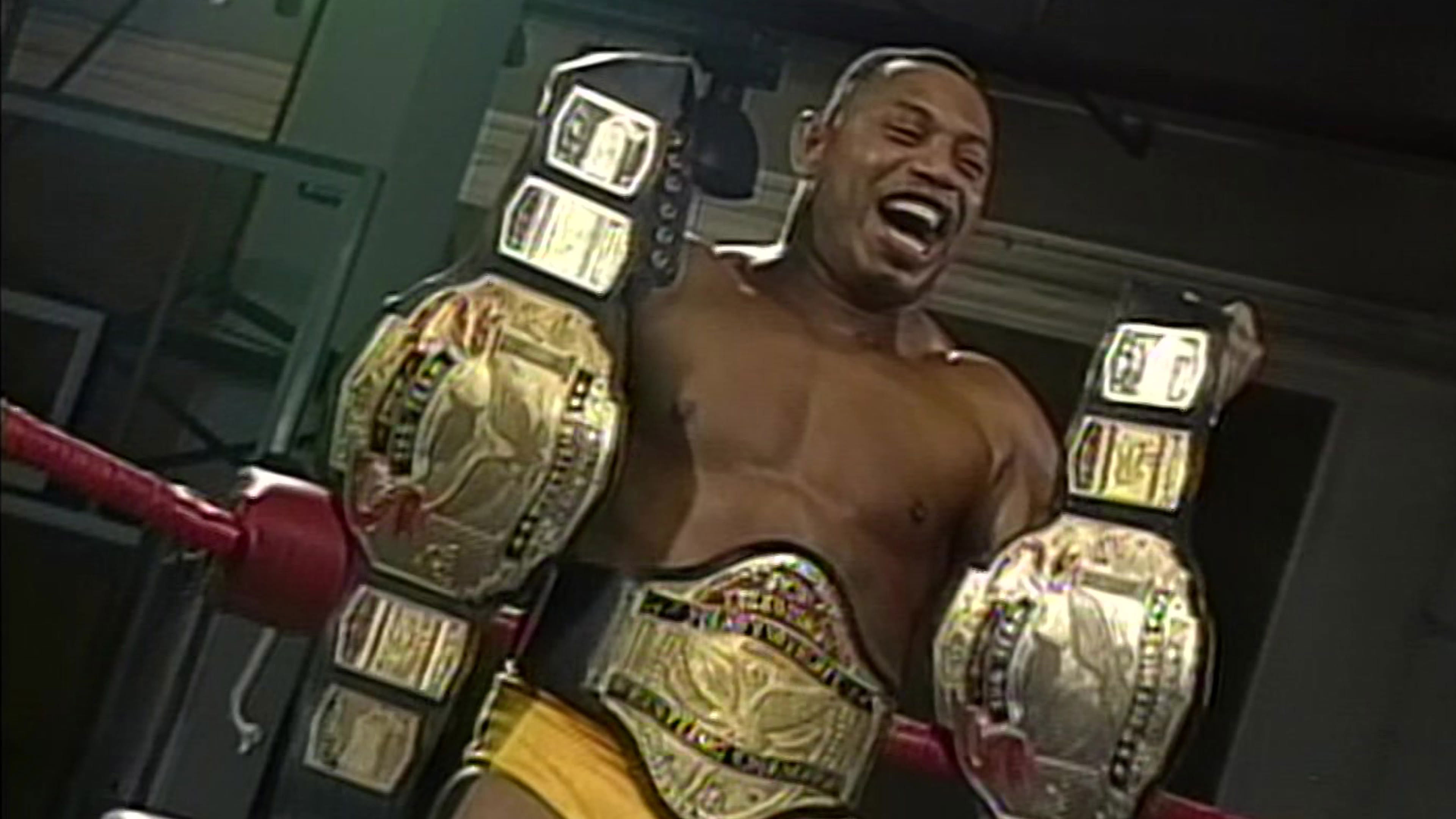 Backdrop for ECW Holiday Hell 1995