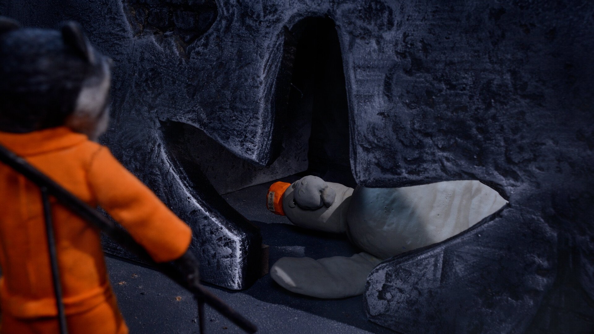 Backdrop for Cell Buddies