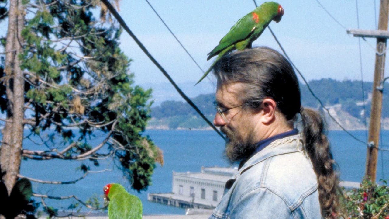 Backdrop for The Wild Parrots of Telegraph Hill