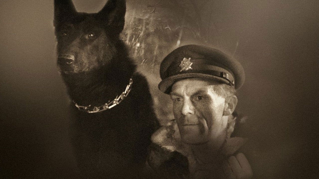 Backdrop for King of the Sumava