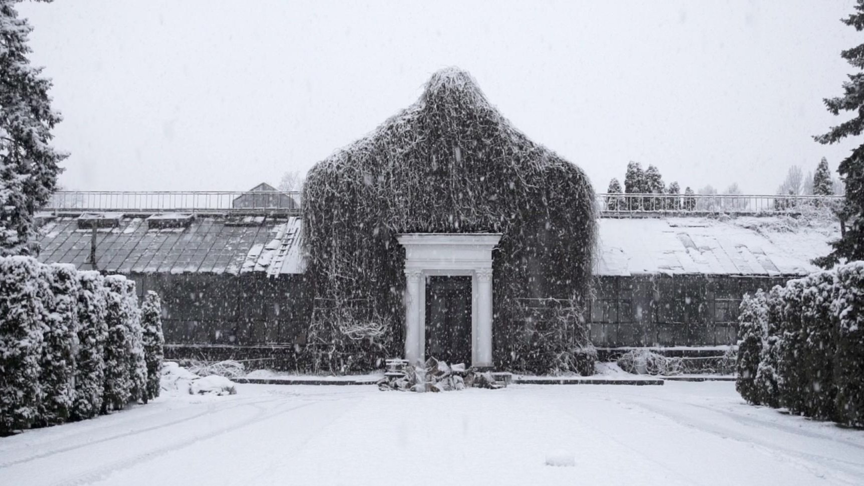 Backdrop for The Winter Garden’s Tale