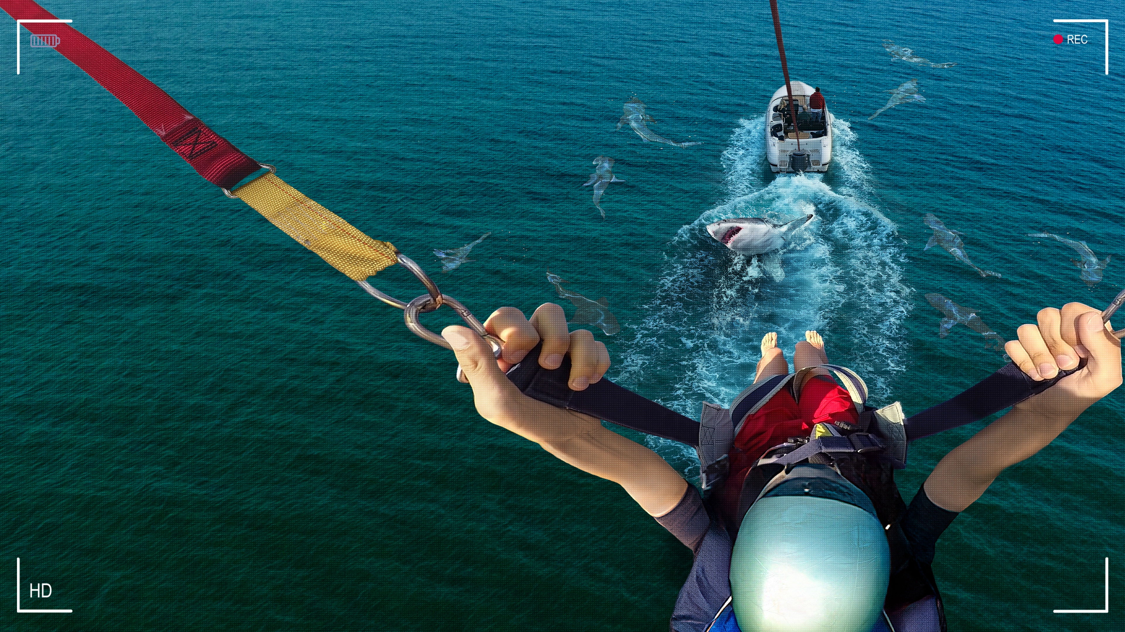 Backdrop for Caught! Sharks Strike Back
