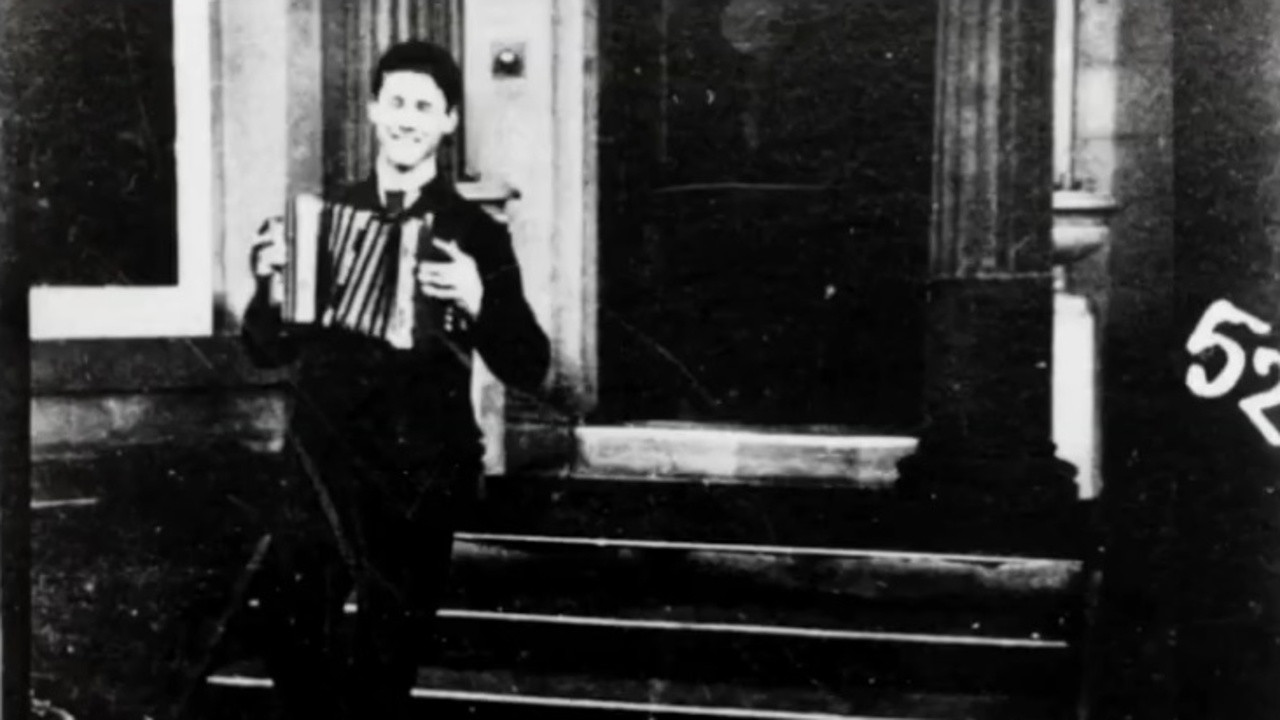 Backdrop for Accordion Player