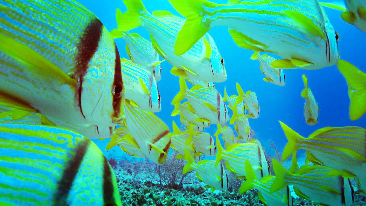 Backdrop for Red Sea