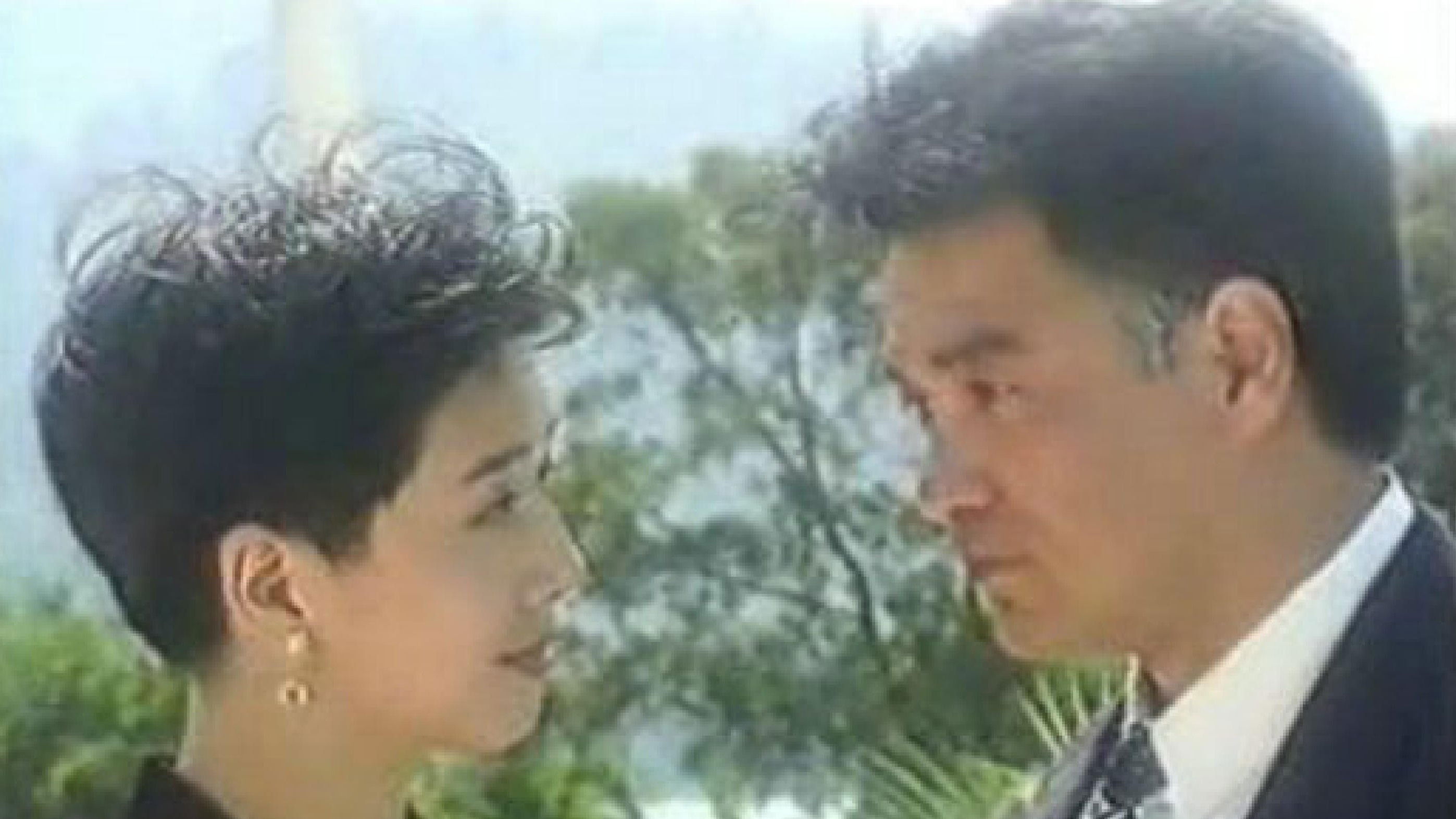 Backdrop for 大家族