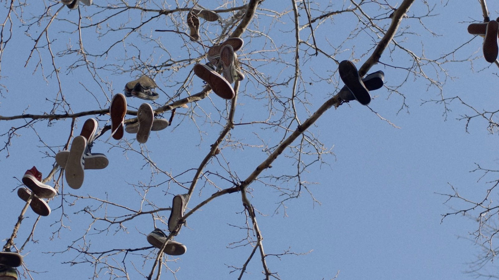 Backdrop for Promise