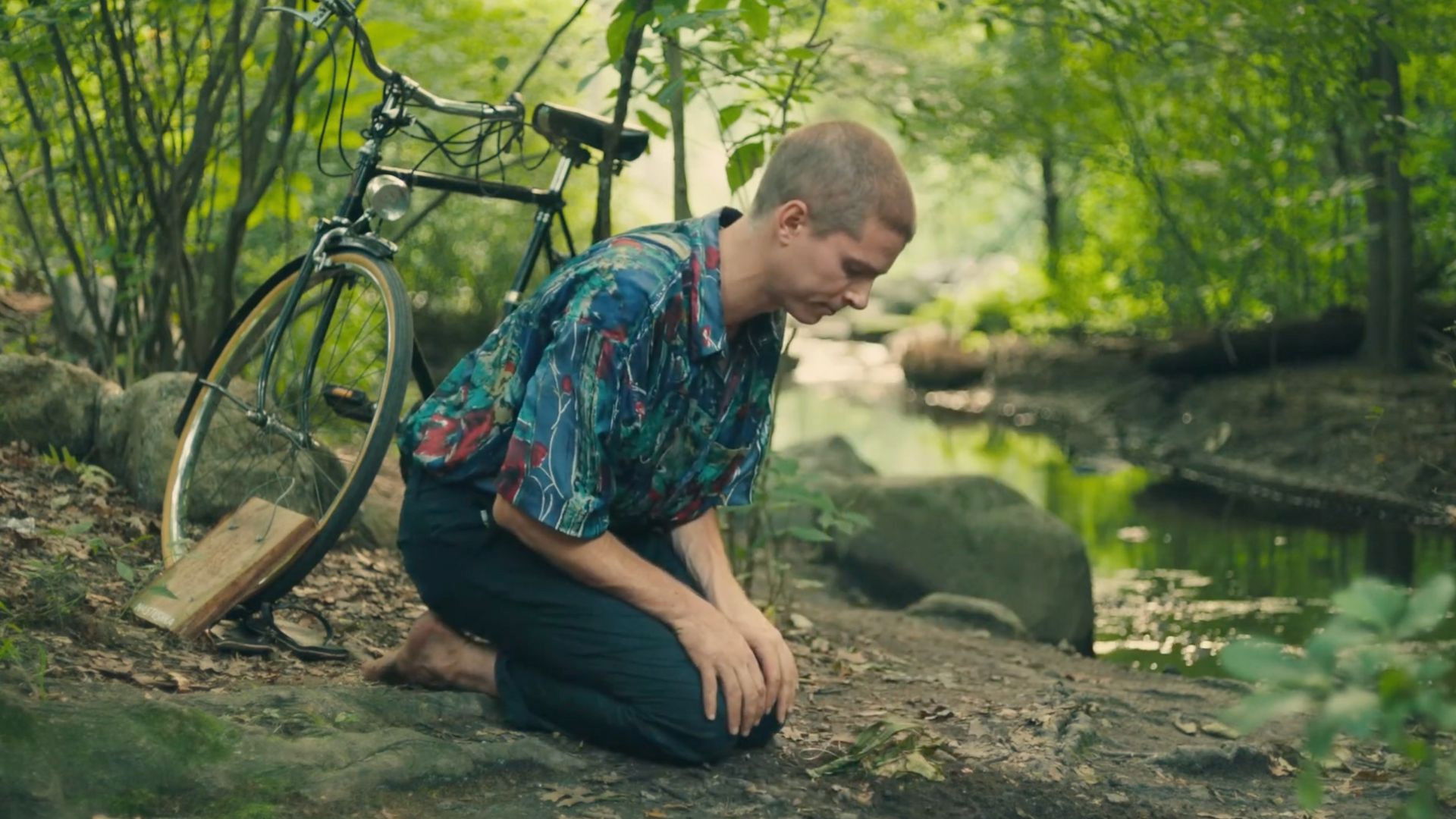 Backdrop for The Poet and the Plant