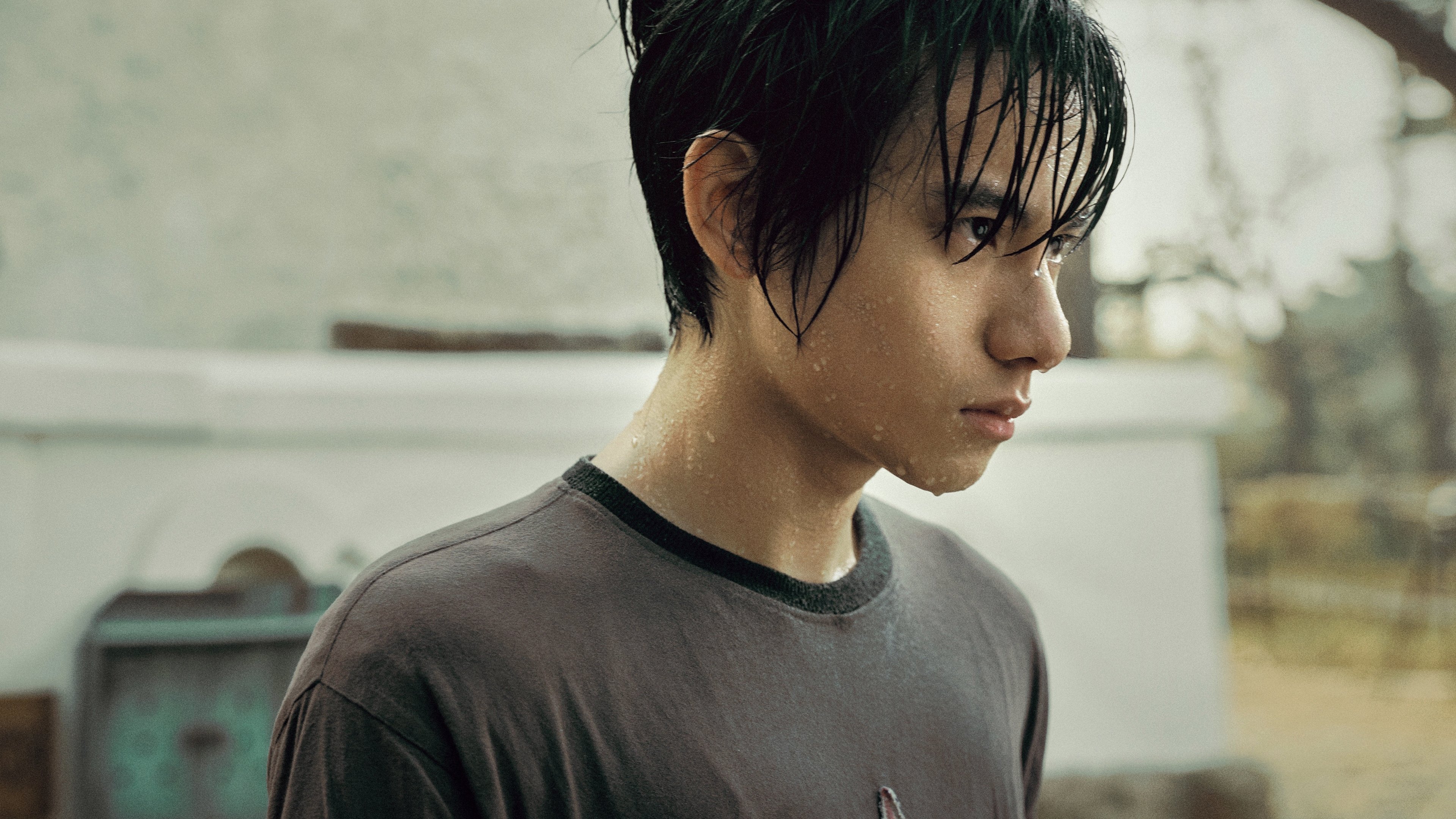 Backdrop for The Traveller