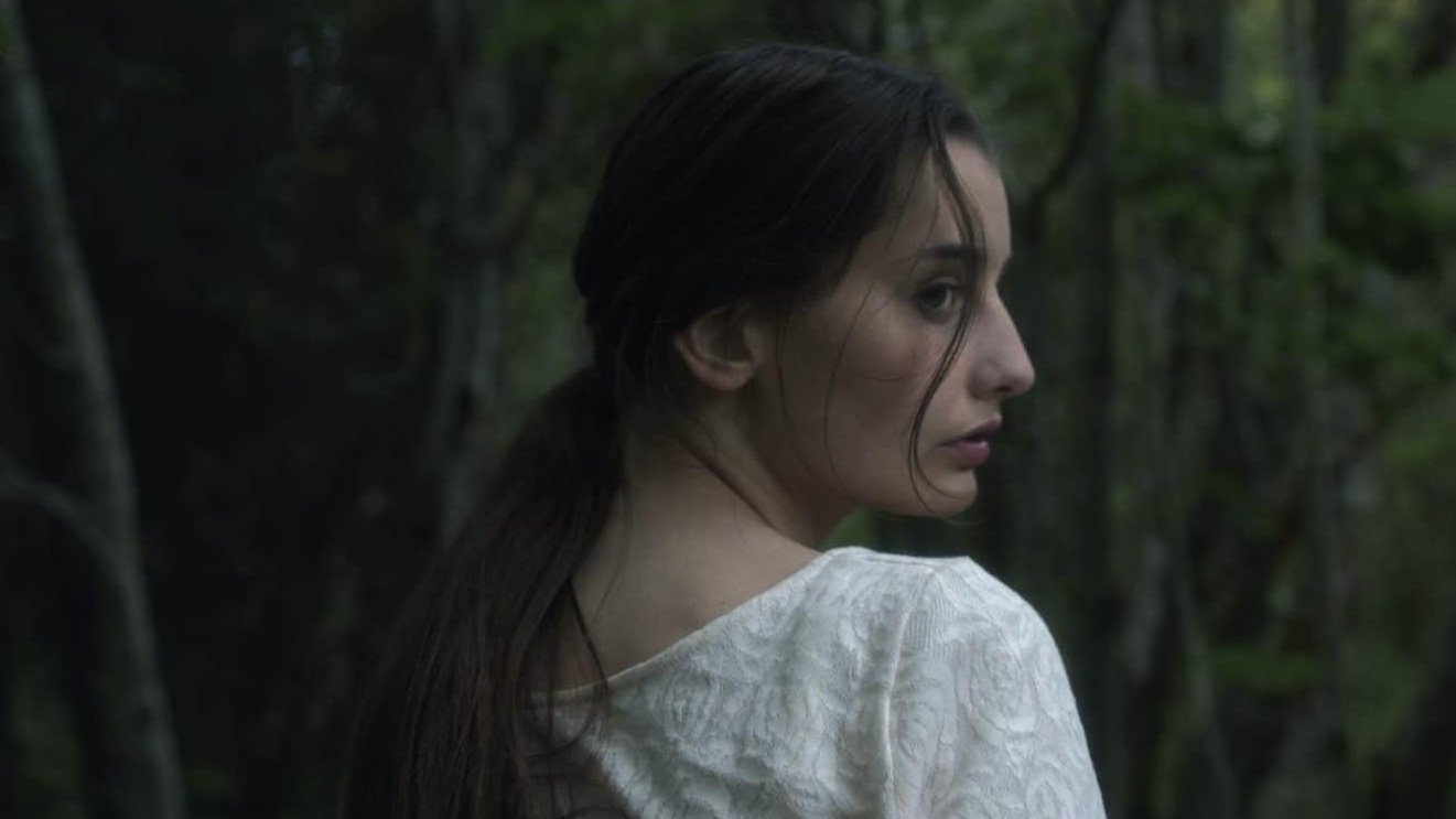 Backdrop for Stallion