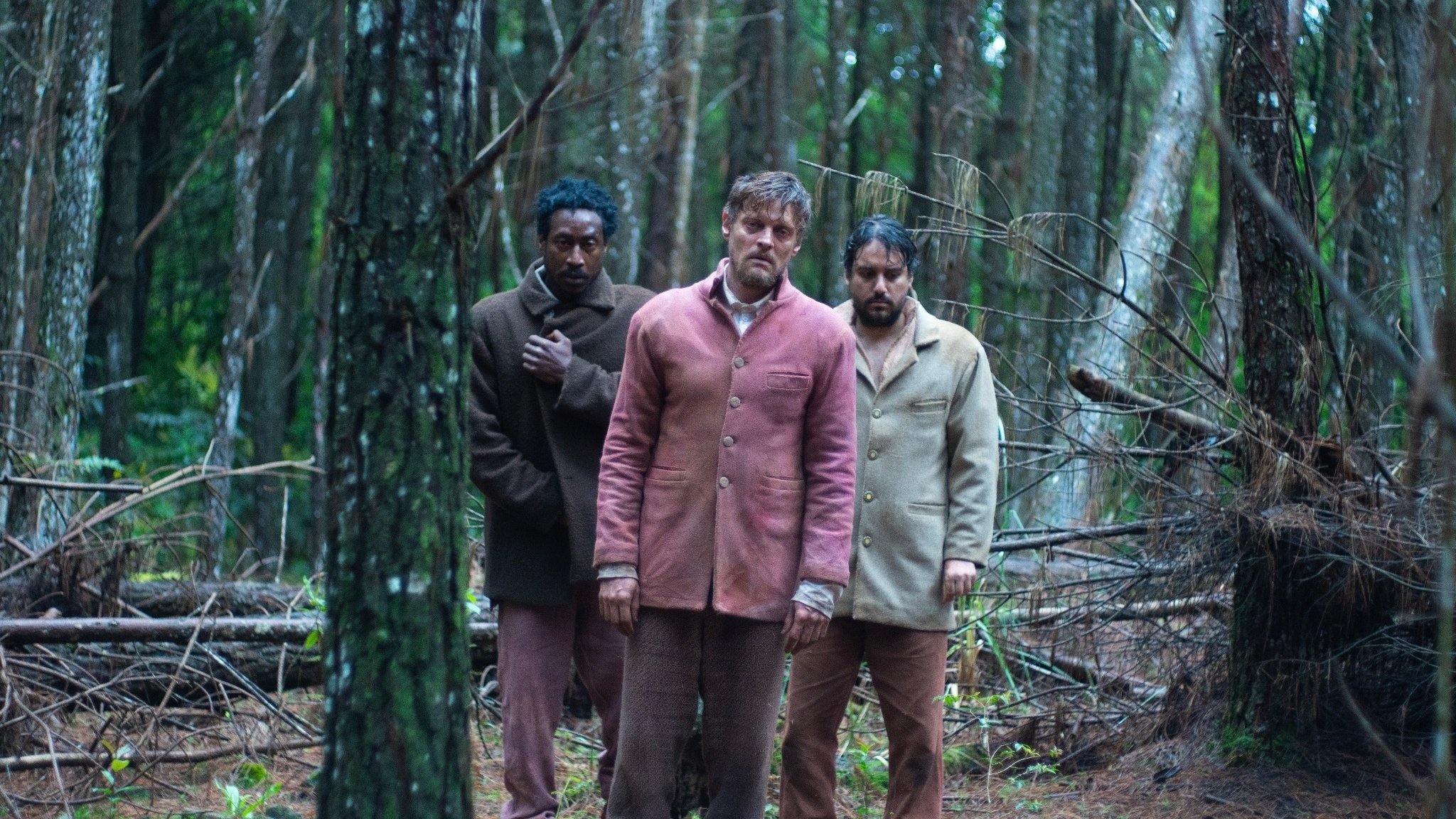 Backdrop for A Própria Carne