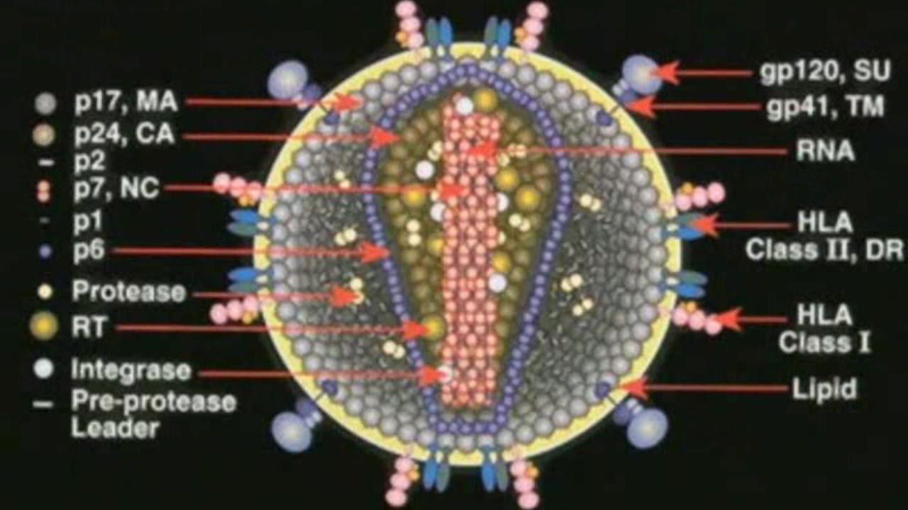 Backdrop for Deconstructing the Myth of Aids