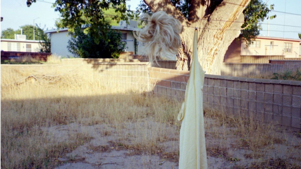 Backdrop for DIVEtheband