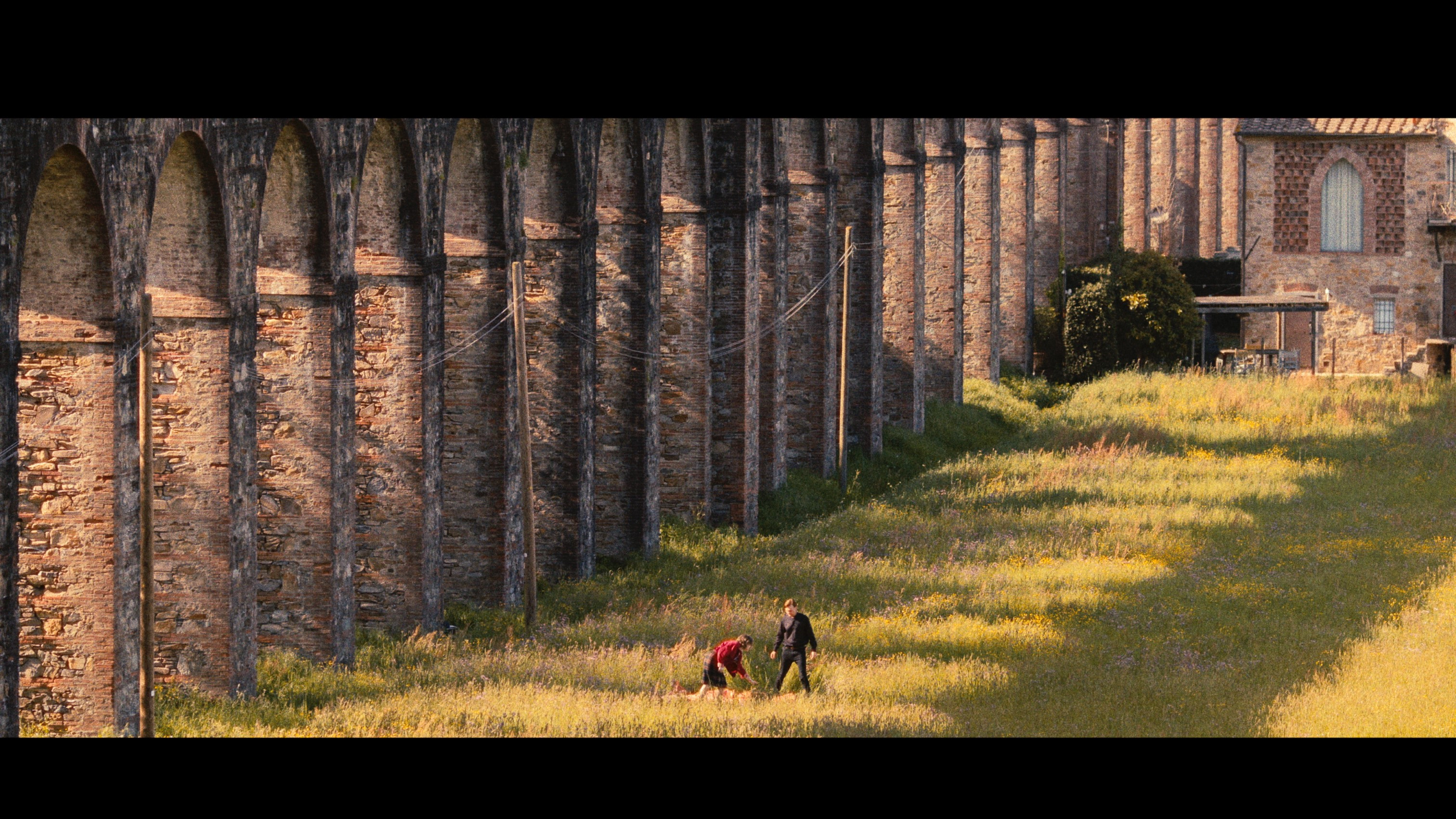 Backdrop for Fidelitas