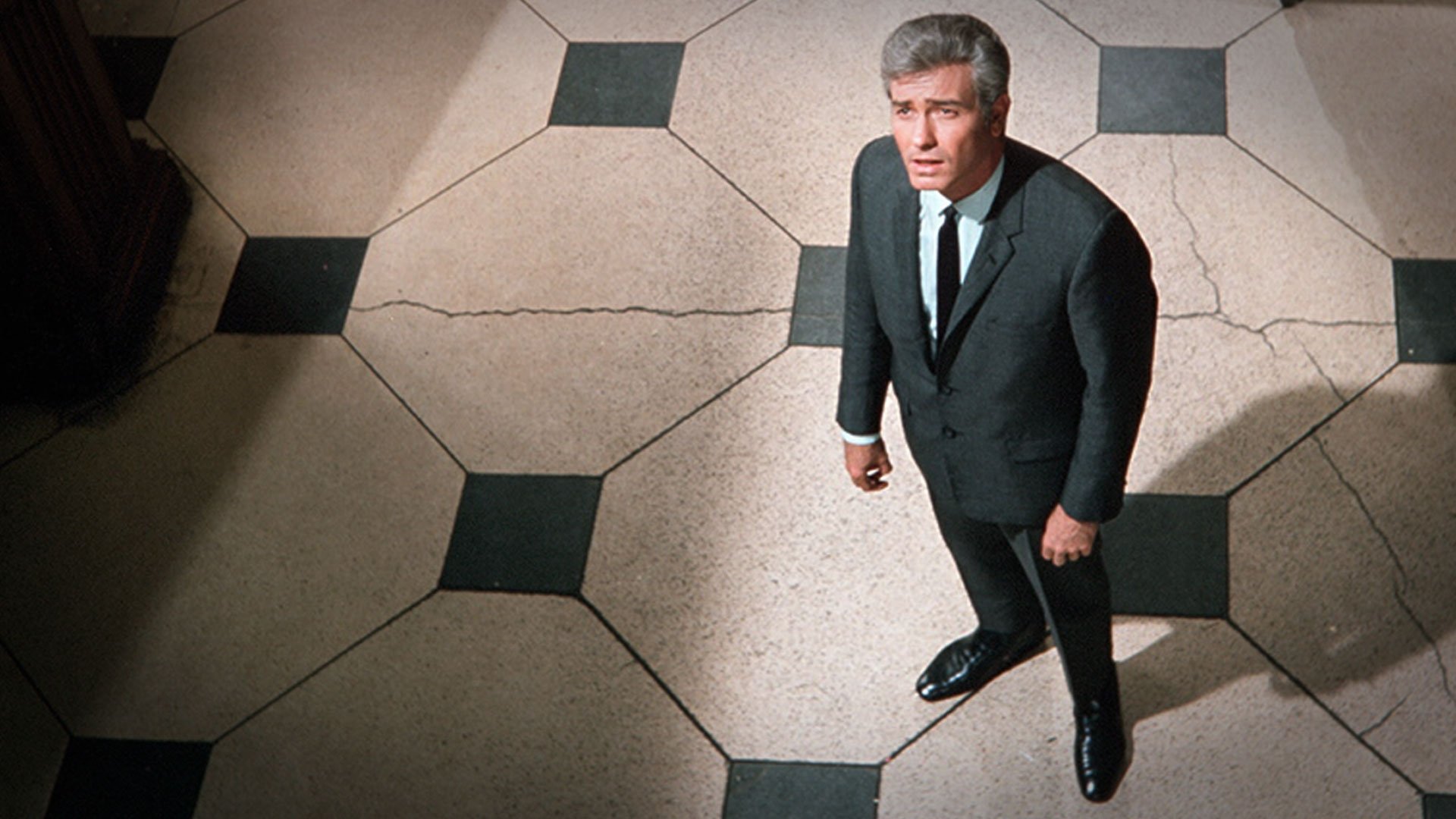 Backdrop for Man in a Suitcase