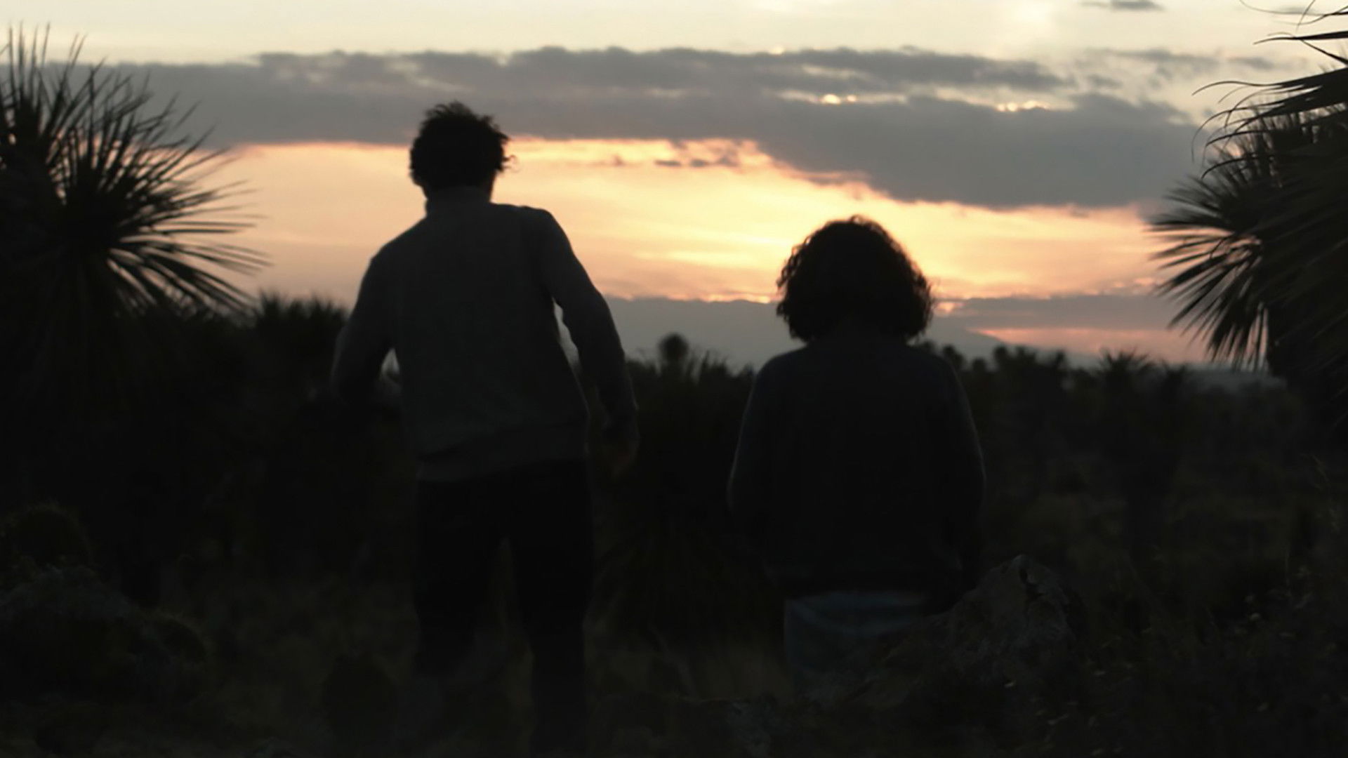 Backdrop for Acapulco Heart