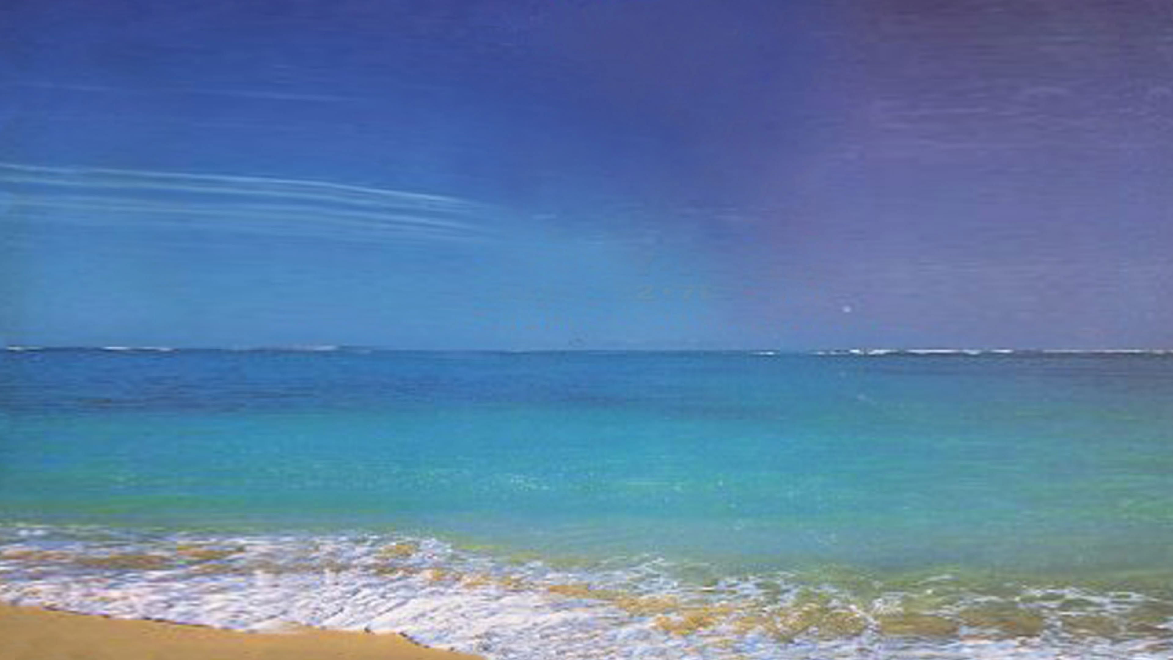 Backdrop for WWE Royal Rumble 1995