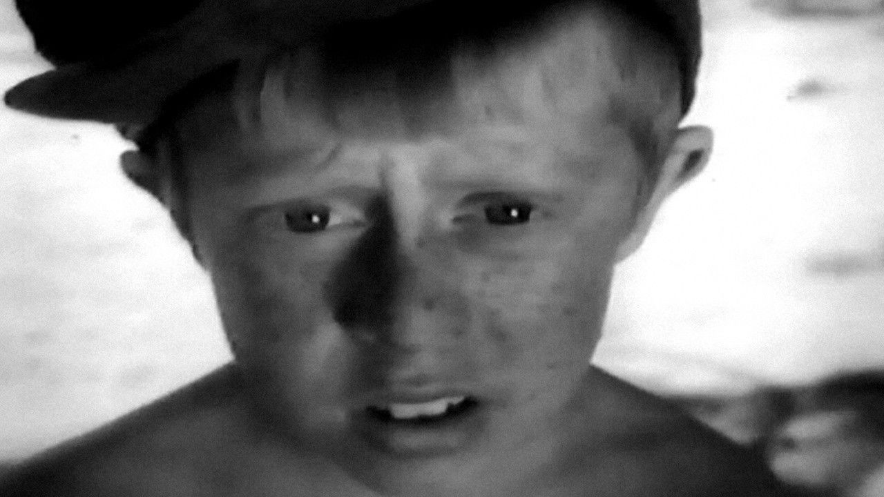 Backdrop for Toreadors from Vasiukivka