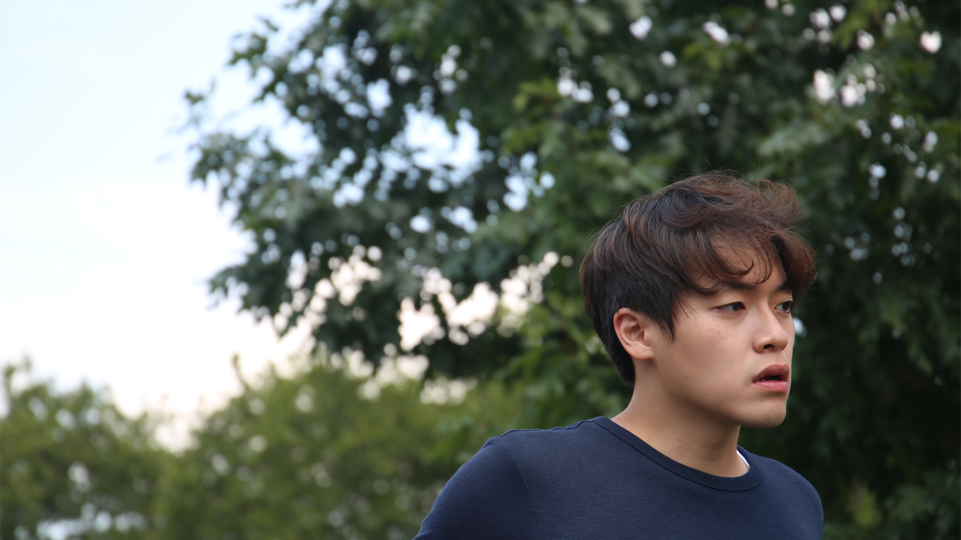 Backdrop for Sesang / 세상