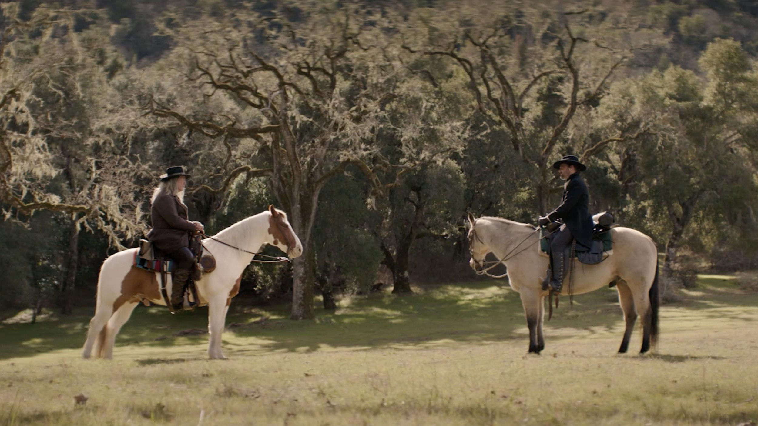 Backdrop for The Mediator