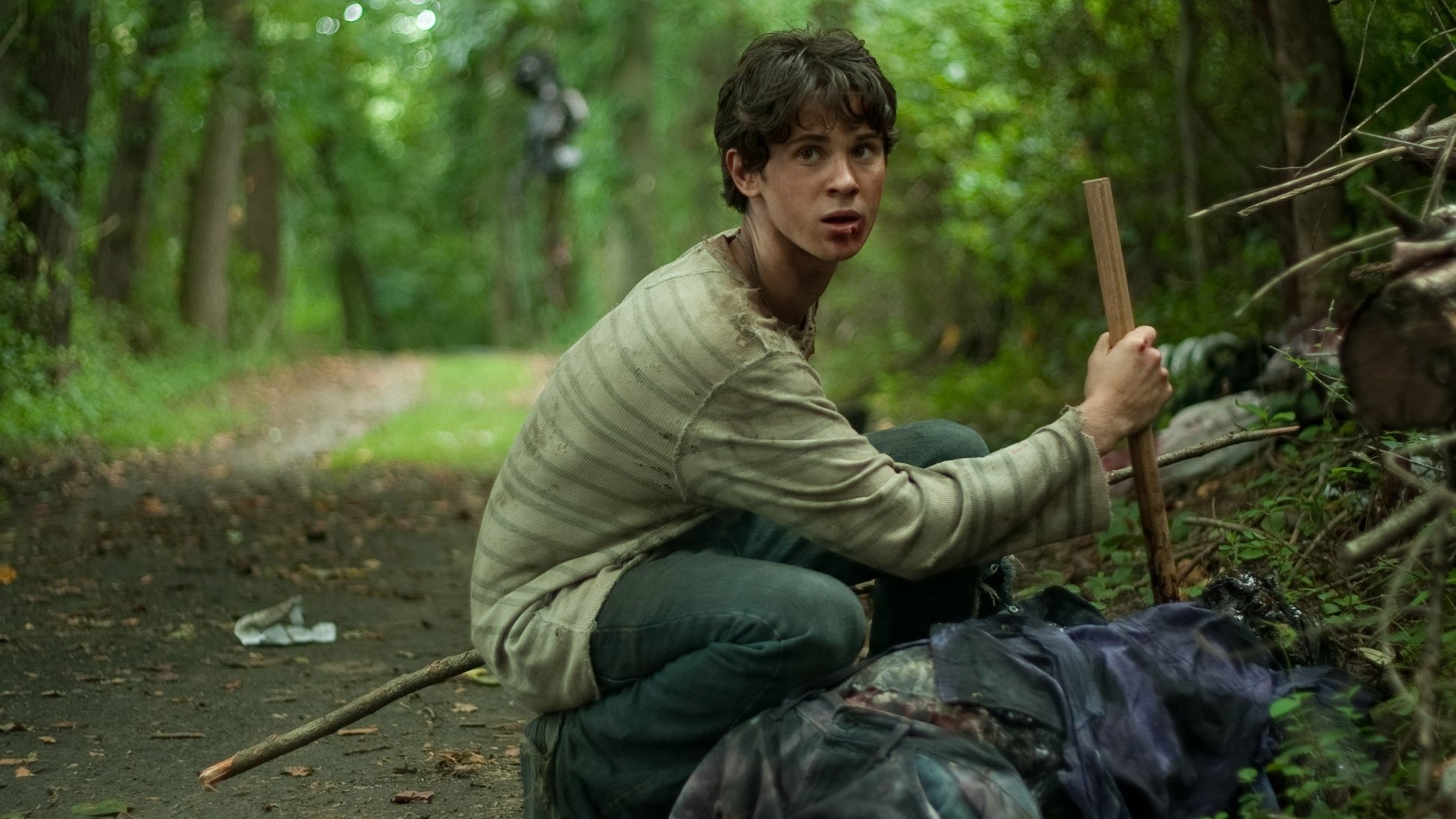 Backdrop for Stake Land