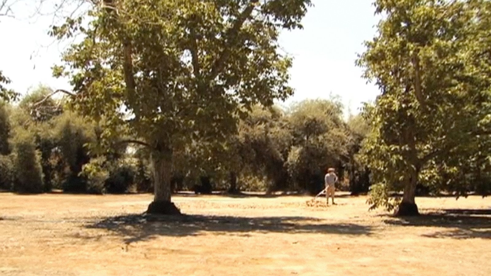 Backdrop for The Fourth