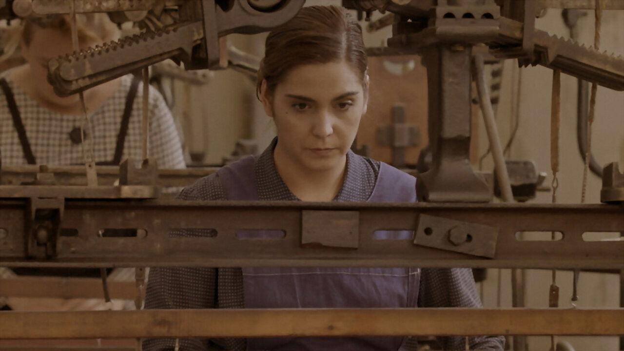 Backdrop for Terra de telers