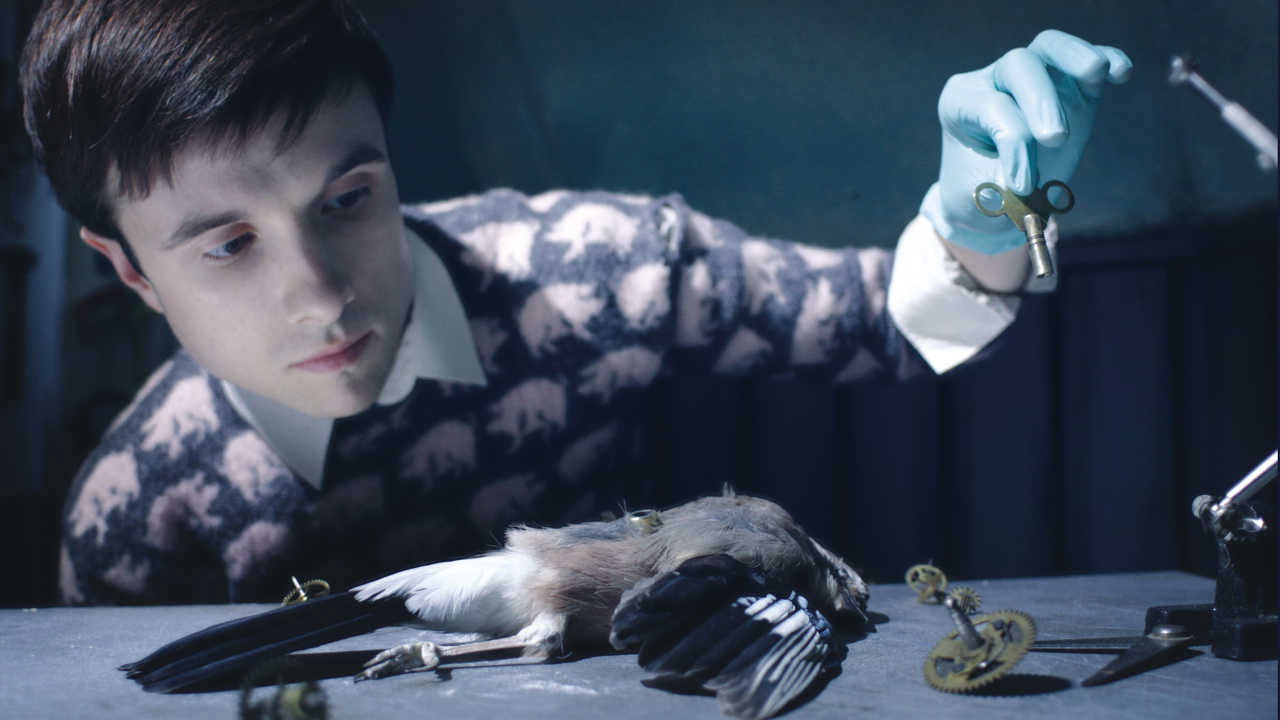 Backdrop for Stanley Pickle