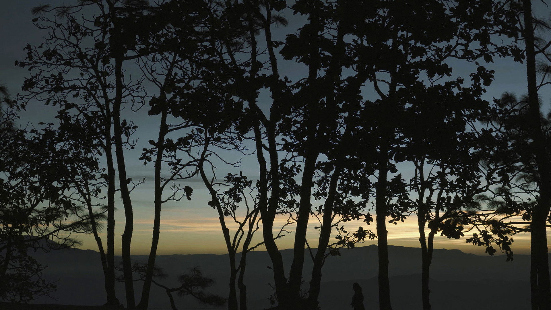 Backdrop for Aunt Lucía