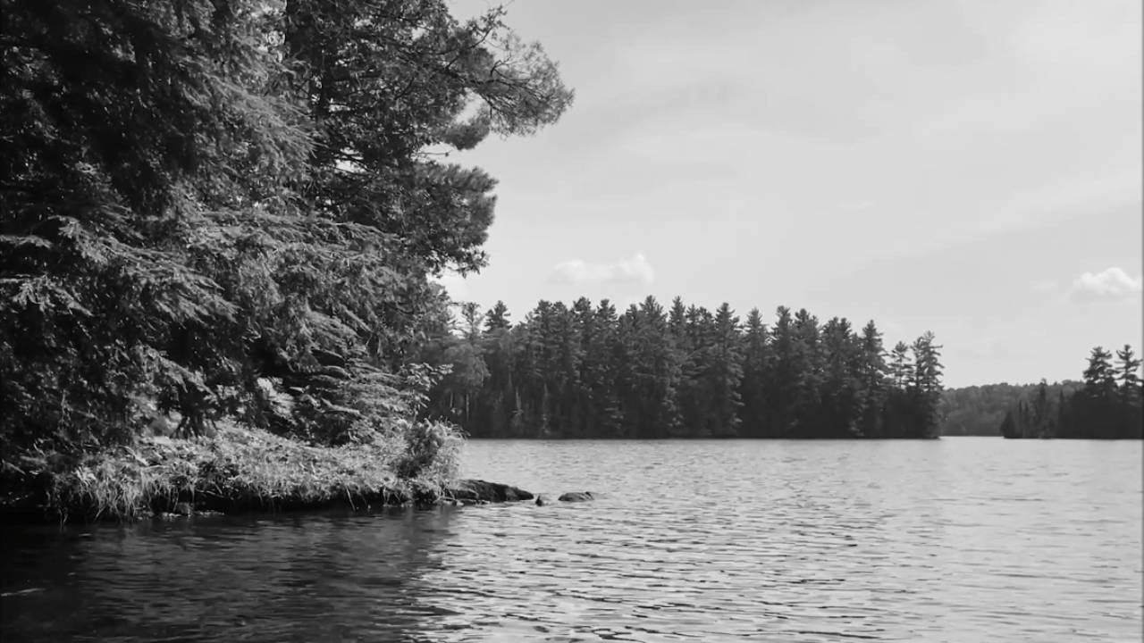 Backdrop for Bluewater