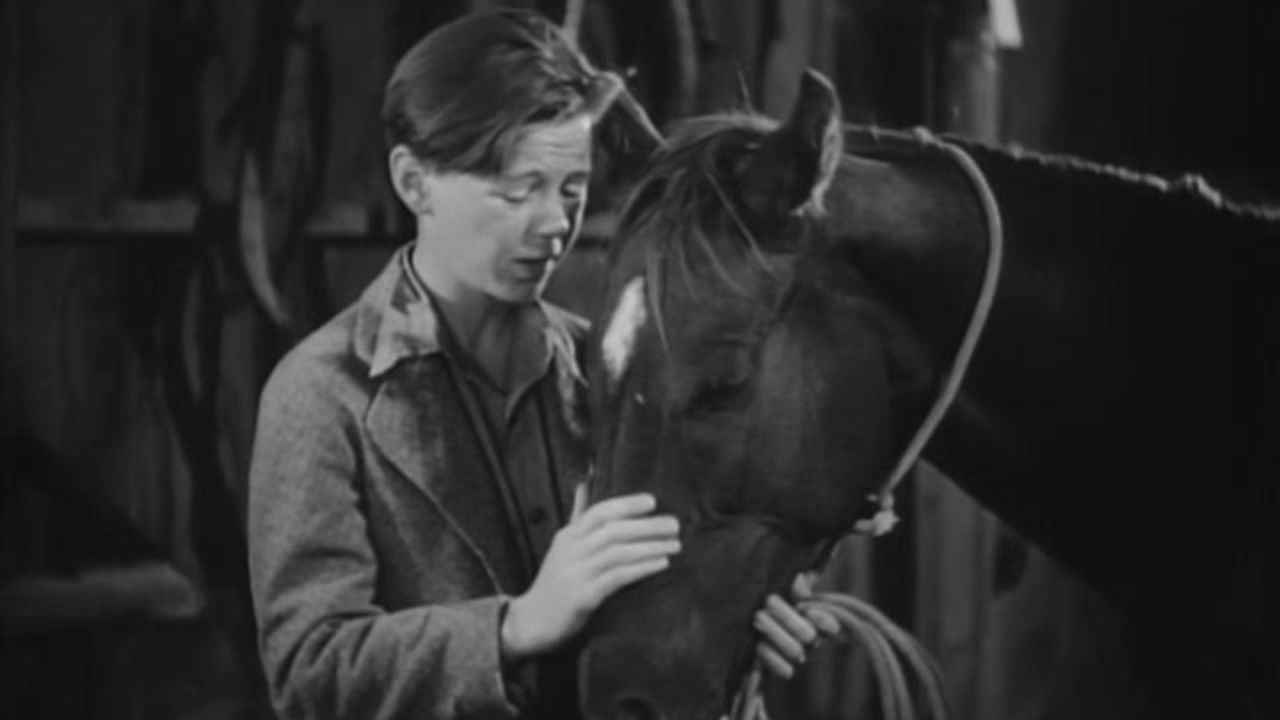 Backdrop for Two Thoroughbreds