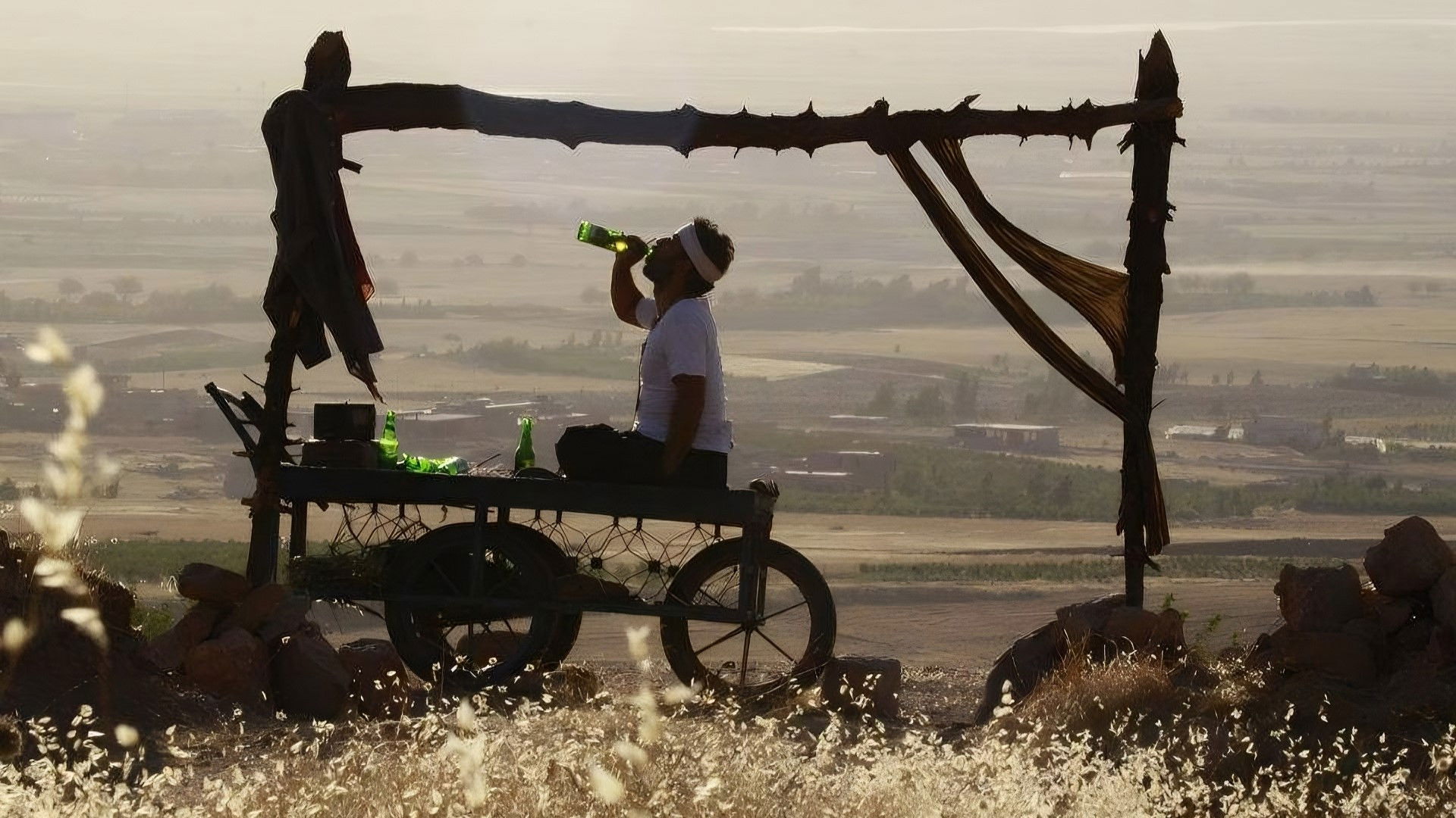 Backdrop for Burned Nests