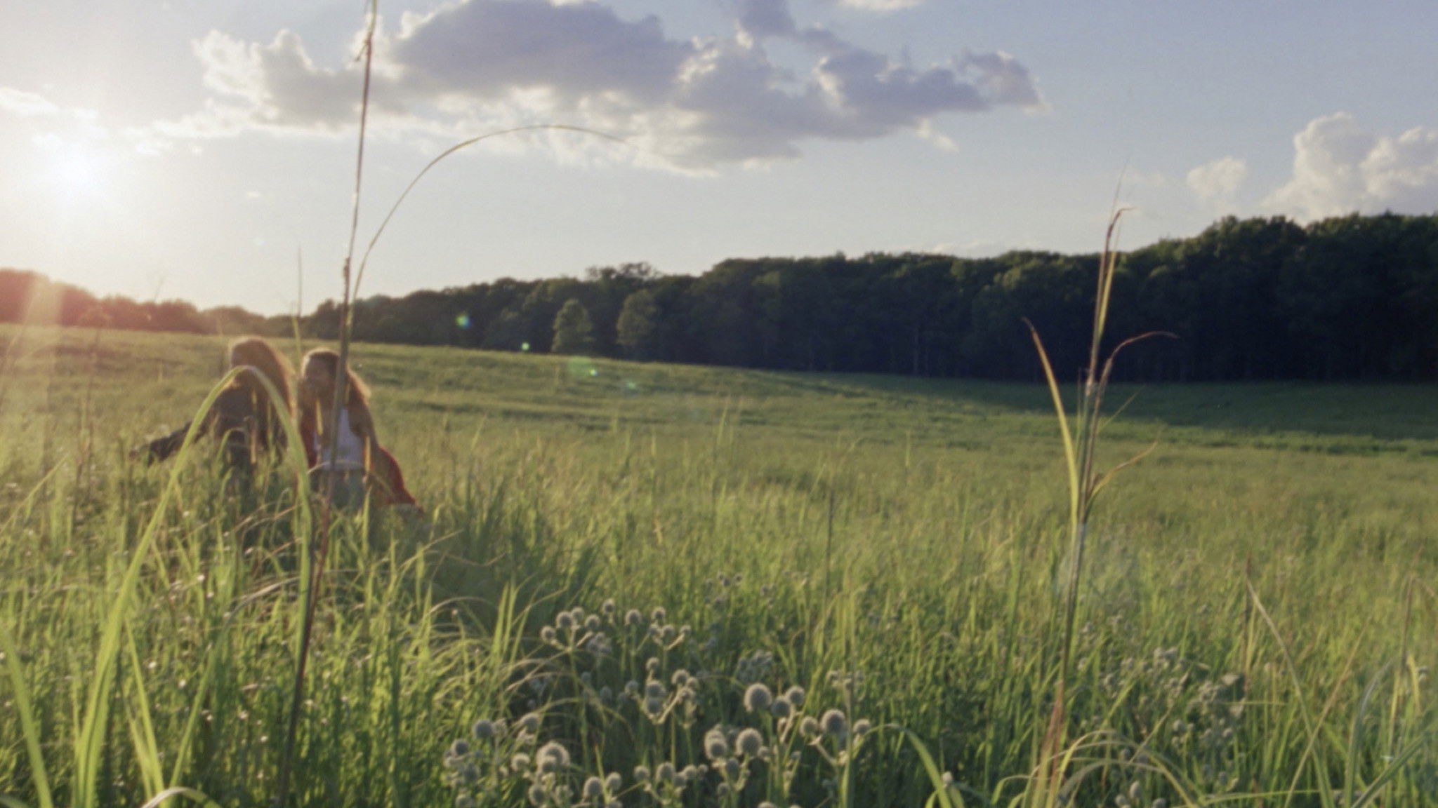 Backdrop for A Sweetness of Lapse