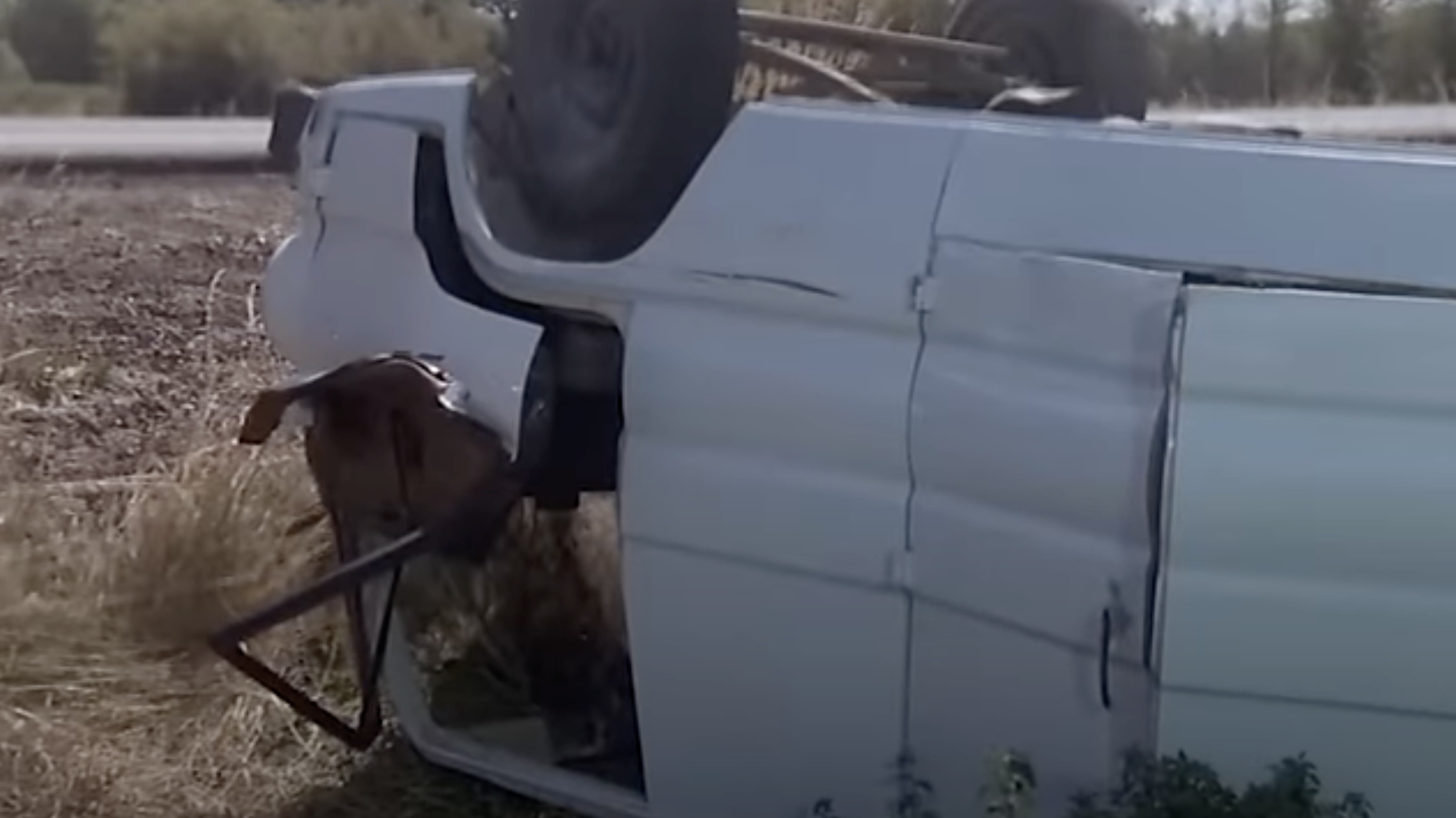 Backdrop for A Summer to Remember