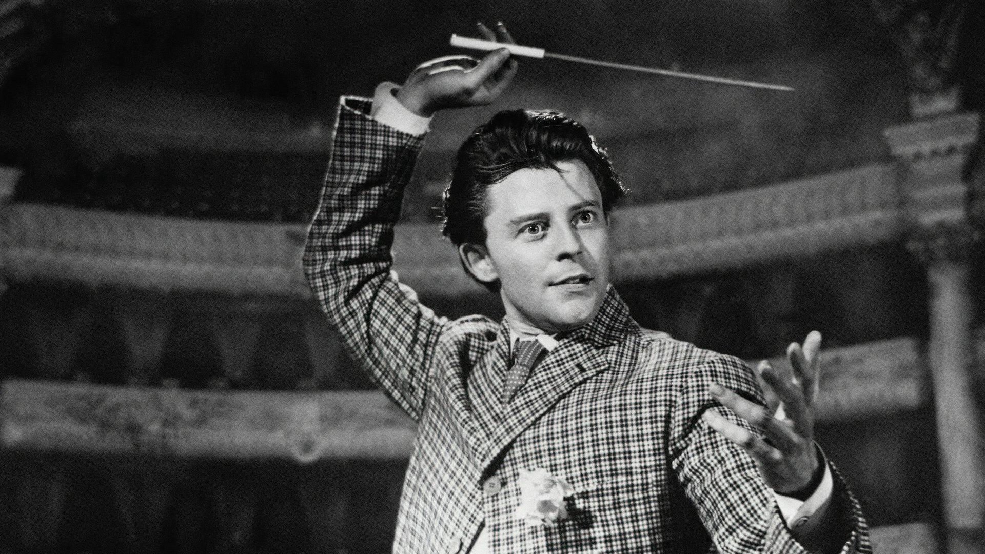 Backdrop for Beauties of the Night