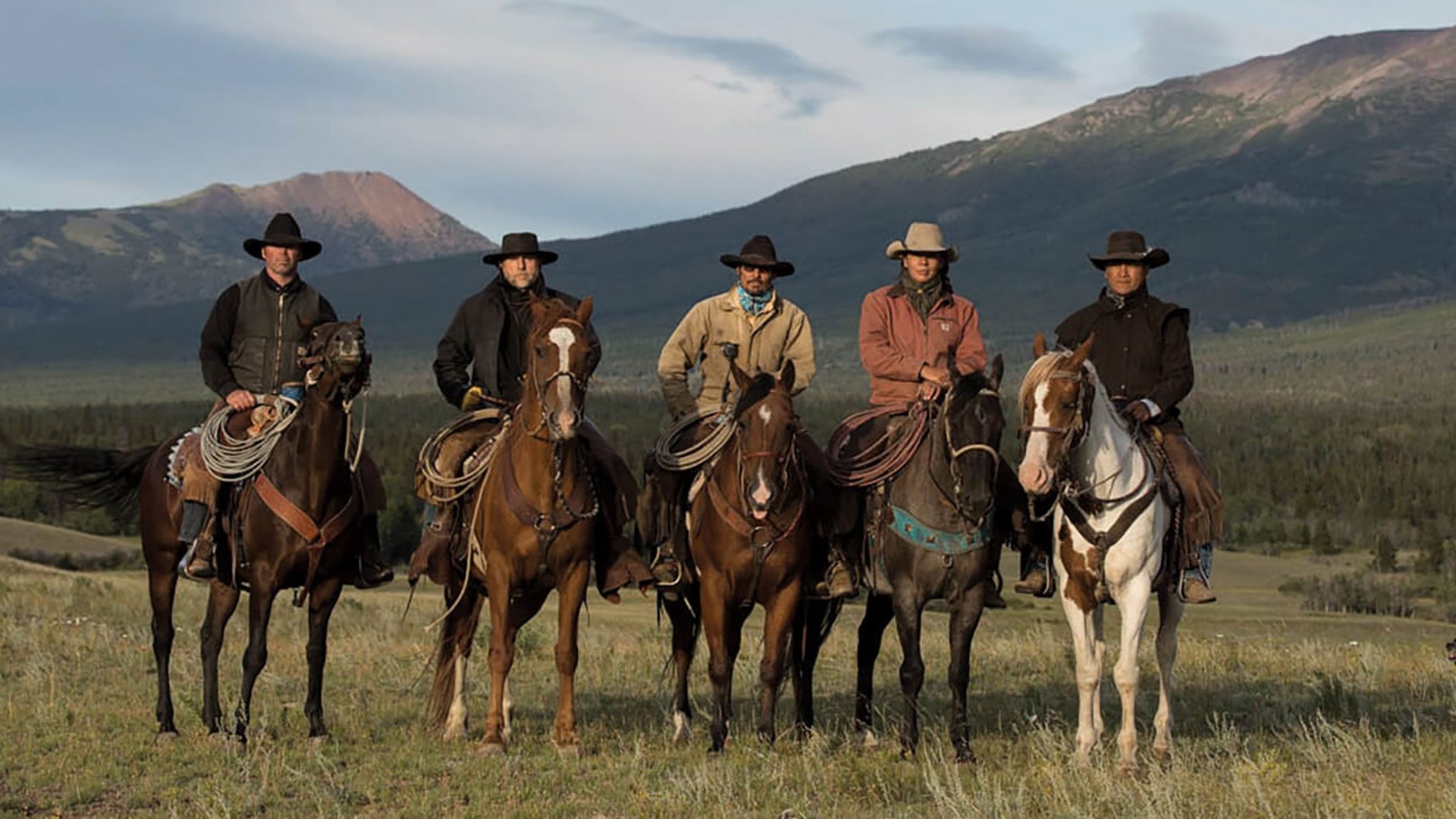 Backdrop for Wild Ones