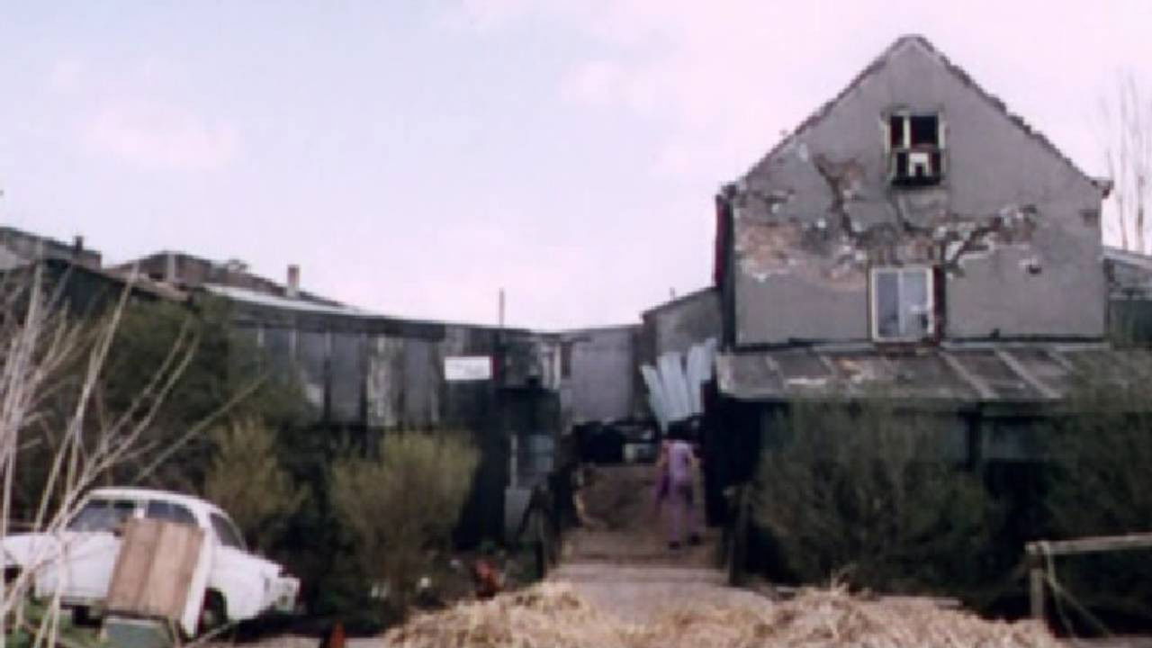 Backdrop for Antenna