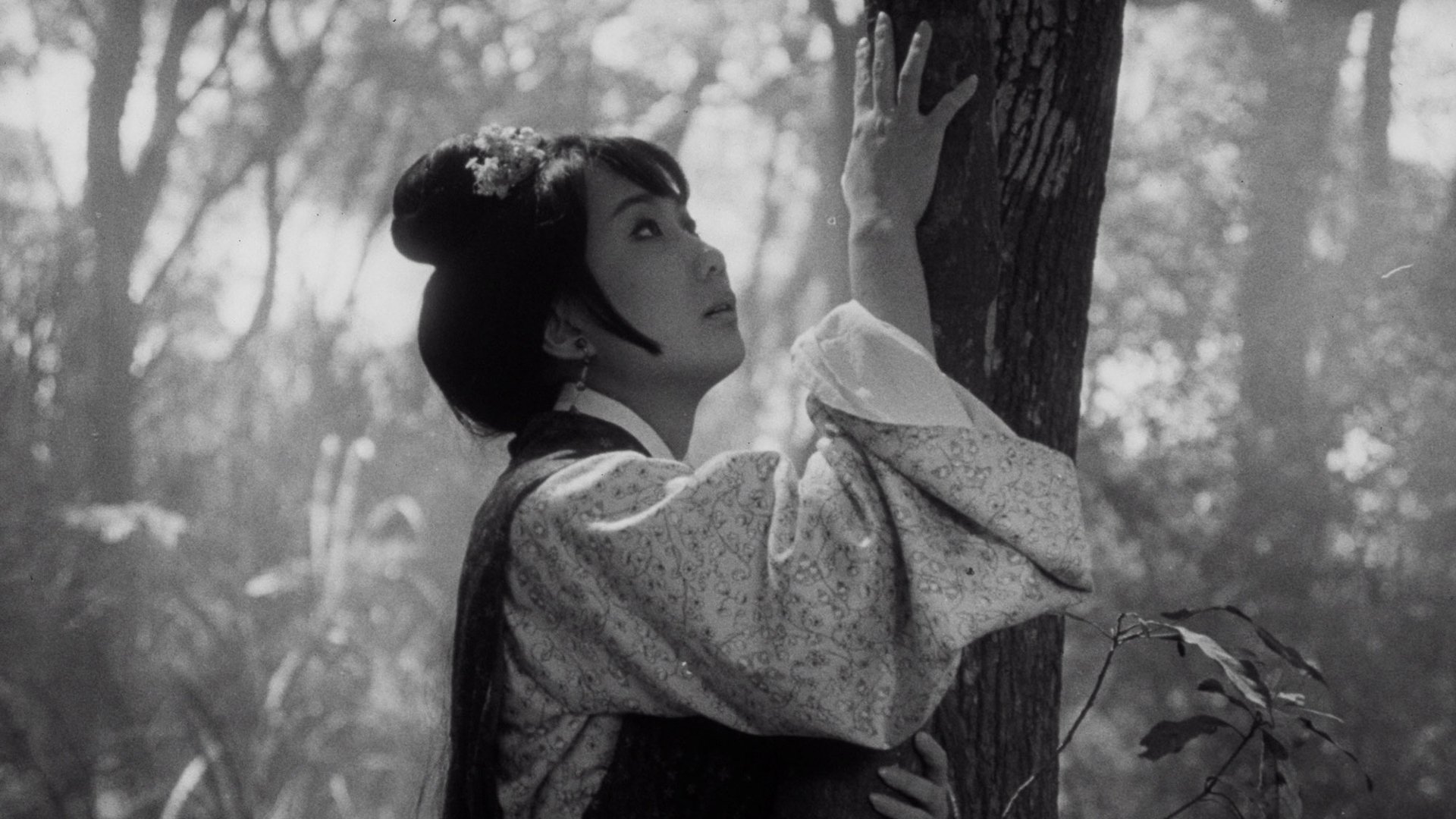 Backdrop for The Arch