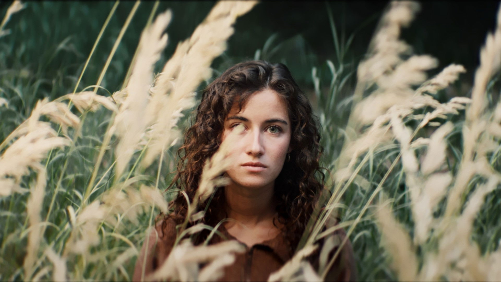 Backdrop for The Weight of Quiet Things