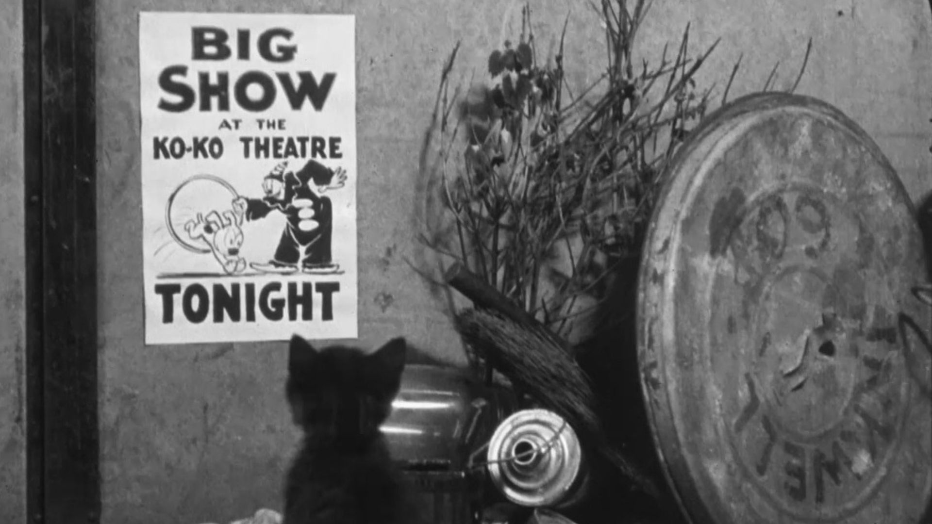 Backdrop for It's the Cat's